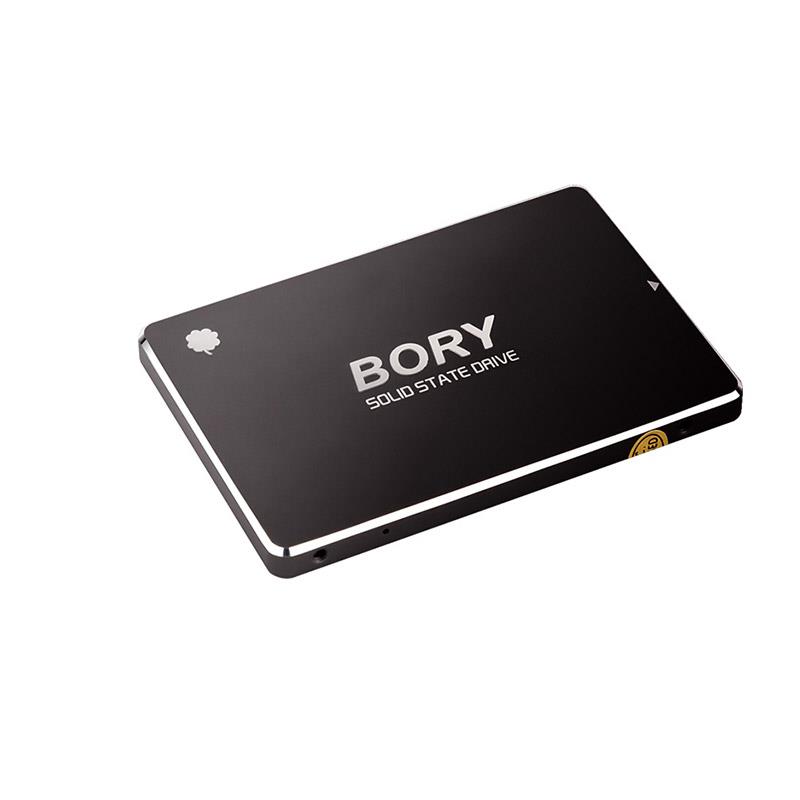 256 GB BORY SATA3 R500-C256G SSD 550/510 MBS (3 YIL GARANTİLİ) -5689