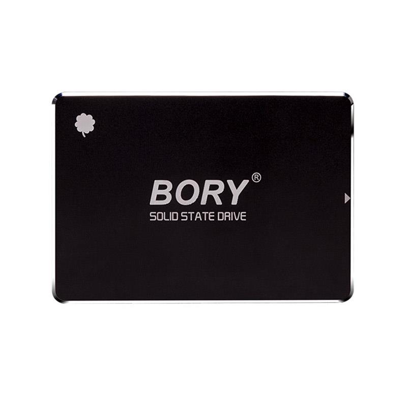 1 TB BORY SATA3 R500-C1T SSD 550/510 MBS (3 YIL GARANTİLİ) -3174291