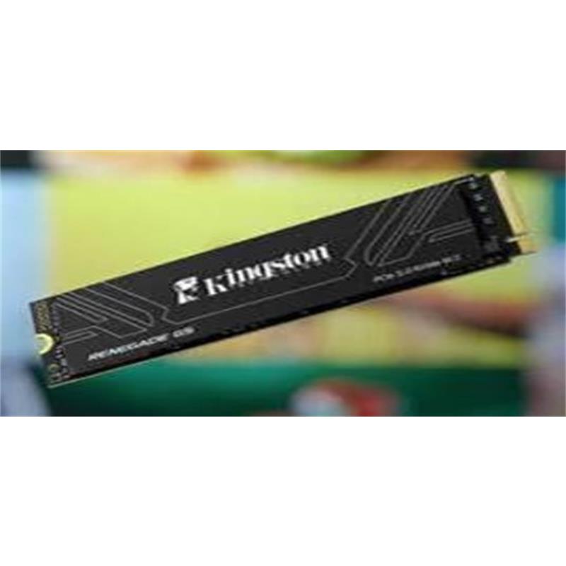2 TB KINGSTON RENEGADE GEN5 M.2 2280 PCIE 5.0 X4 NVME SRNG2S/2T0 -3158469