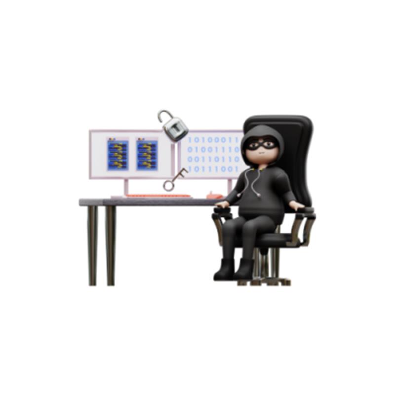 INTERNET SIZMA (PENETRASYON) TESTİ HİZMETİ (1-10 EXTERNAL IP) 